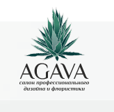 Агава Сеть Магазинов Официальный Сайт